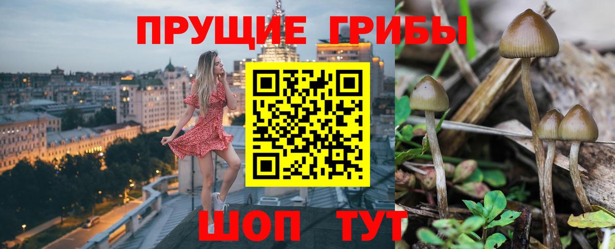 Галлюциногенные грибы Magic Shrooms  Вход с VPN  Бирск  Псилоцибиновые грибы ЛСД 